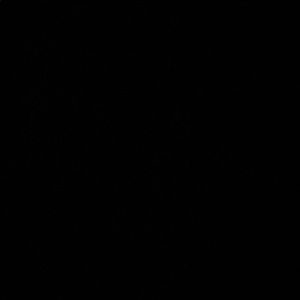 Meet your Posher, Rinni